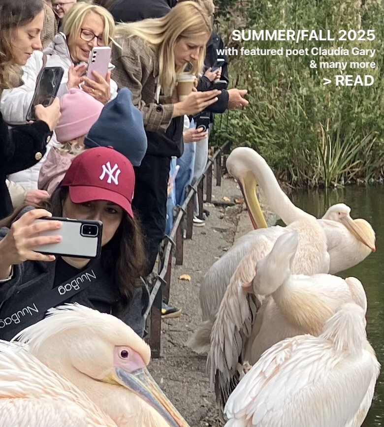 SUMMER/FALL 2025
with featured poet Claudia Gary & many more
> READ